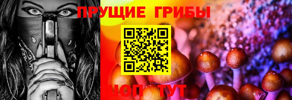 Псилоцибиновые грибы мухоморы Саров